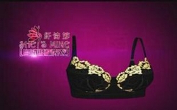 ��ʫ�õ�������+�����ڶ̿� Magic Shaping Bra