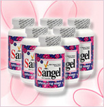 ���˹齺��Sangel 6ƿ �ػ���װ