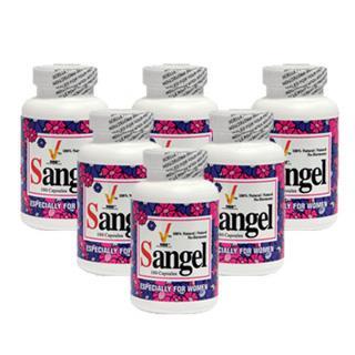 ˹齺Sangel 6ƿ ػװ