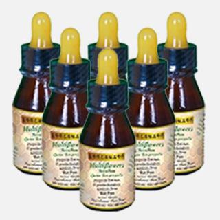 6ƿ�ػ�װ ����ư����̷佺