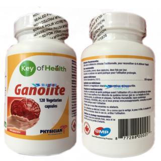 ֥Ganolite- 
