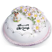 ףԸ��12�����⣩