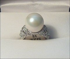 �����¹�����ָ (RP10)