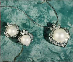 ����������׹��װ (CH110W)