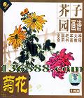ȫѧʵ黭̳ ԰ ջ  [1VCD]