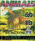 ֮ Ե (Animals)DVD  [4DVD]