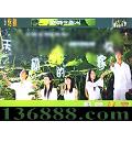 ļ£29( غ ӱ  ǫ) йDVD  [4HDVD]