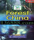 CCTV ɭ֮衤DVD  [6DVD]
